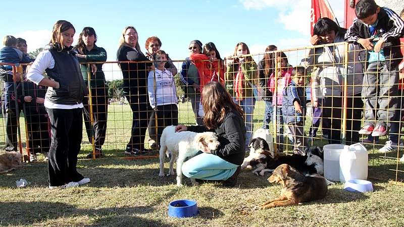 dia mundial del animal campaña adopcion