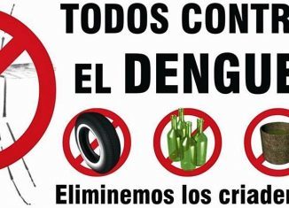 afiche dengue