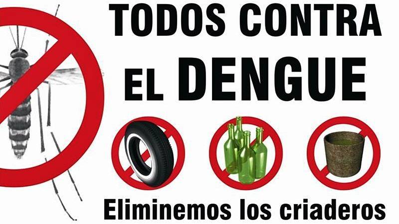 afiche dengue