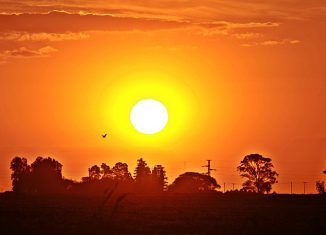 sol firmat