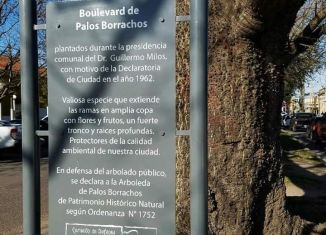 La Arboleda de Palos Borrachos fue declarada Patrimonio Histórico Natural