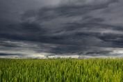 SMN: alerta por tormentas fuertes